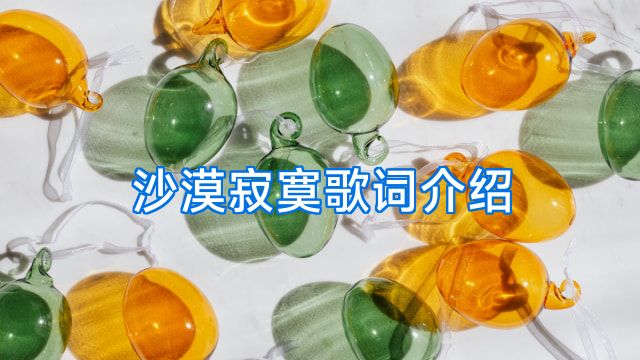 沙漠寂寞歌词介绍