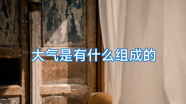 大气是有什么组成的