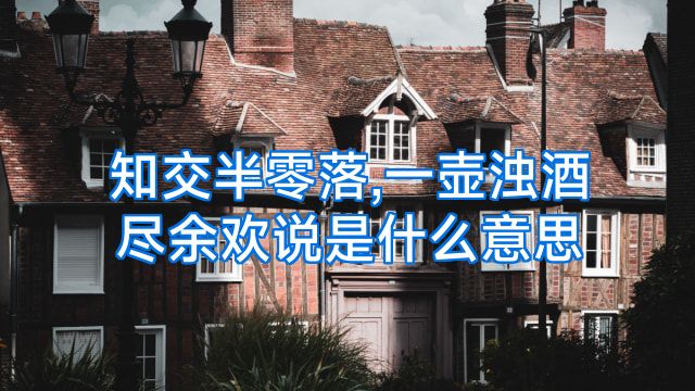 知交半零落,一壶浊酒尽余欢说是什么意思
