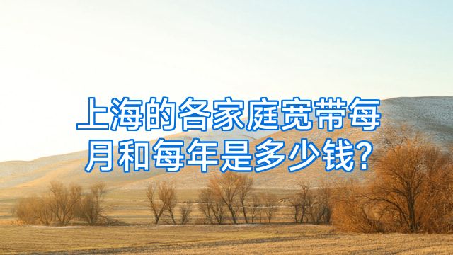 上海的各家庭宽带每月和每年是多少钱?