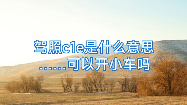 驾照c1e是什么意思……可以开小车吗