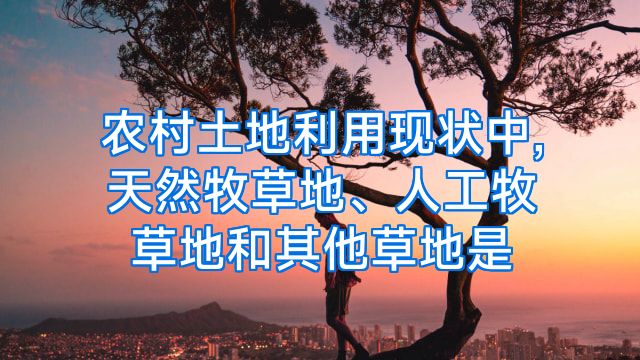 农村土地利用现状中,天然牧草地、人工牧草地和其他草地是