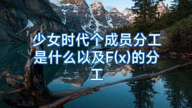 少女时代个成员分工是什么以及F(x)的分工