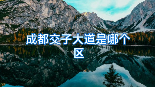 成都交子大道是哪个区