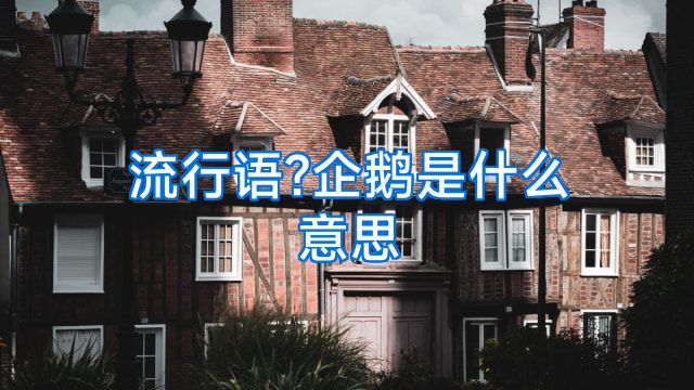 流行语?企鹅是什么意思