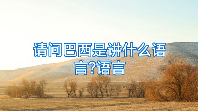 请问巴西是讲什么语言?语言