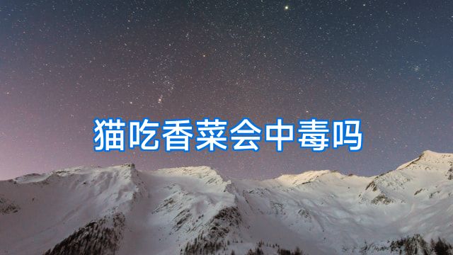 猫吃香菜会中毒吗