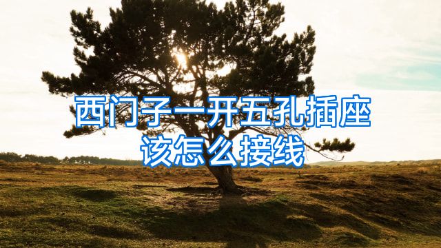 西门子一开五孔插座该怎么接线