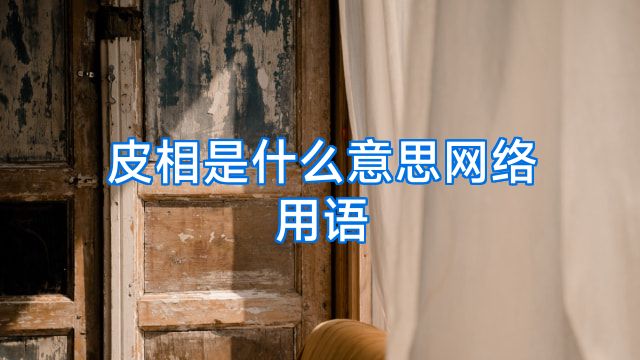 皮相是什么意思网络用语