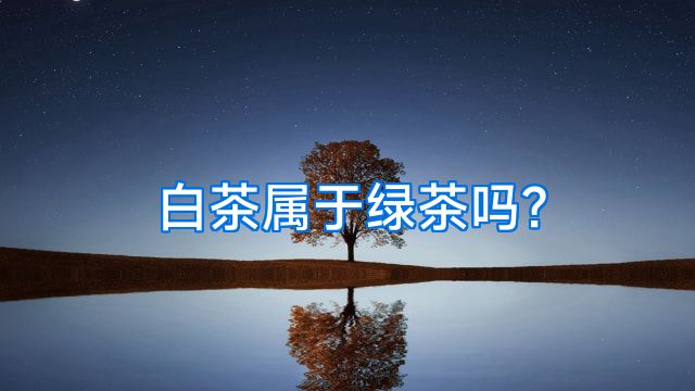 白茶属于绿茶吗?
