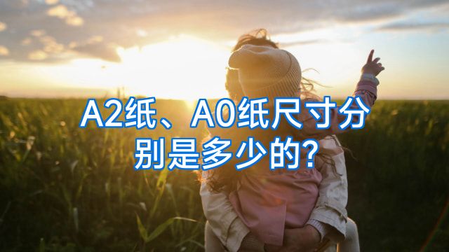A2纸、A0纸尺寸分别是多少的?