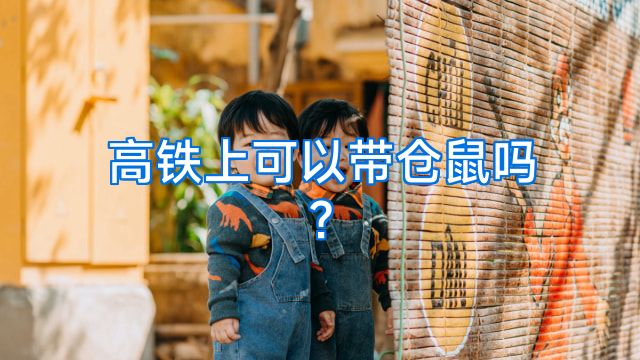 高铁上可以带仓鼠吗?