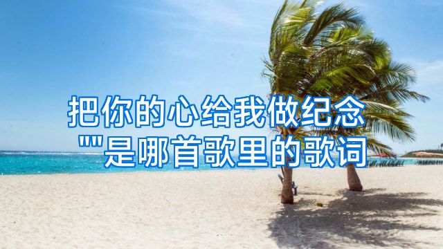 把你的心给我做纪念