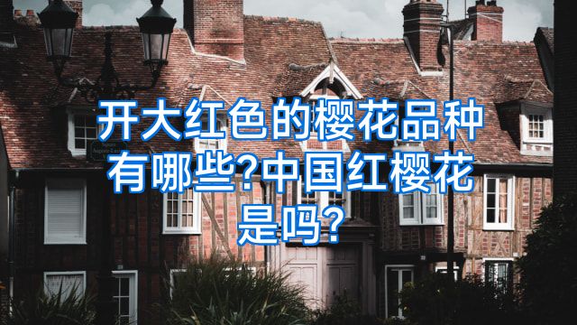 开大红色的樱花品种有哪些?中国红樱花是吗?