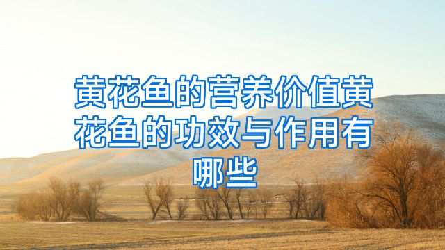 黄花鱼的营养价值黄花鱼的功效与作用有哪些