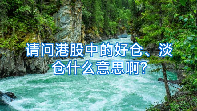 请问港股中的好仓、淡仓什么意思啊?