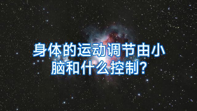 身体的运动调节由小脑和什么控制?