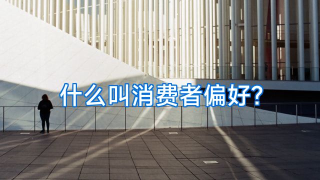 什么叫消费者偏好?