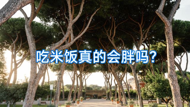吃米饭真的会胖吗?