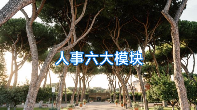 人事六大模块