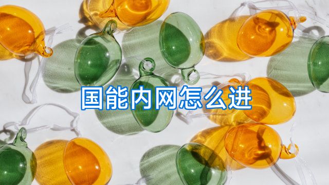 国能内网怎么进