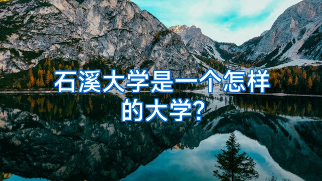 石溪大学是一个怎样的大学?