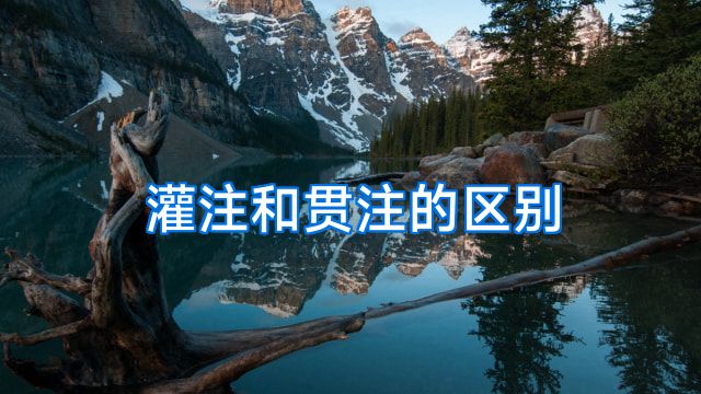 灌注和贯注的区别