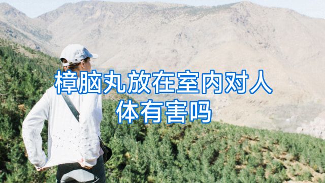 樟脑丸放在室内对人体有害吗