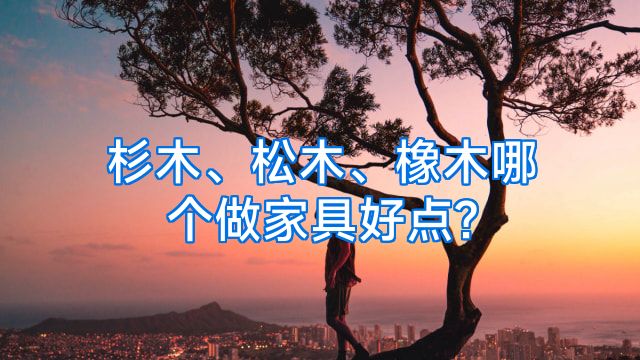杉木、松木、橡木哪个做家具好点?