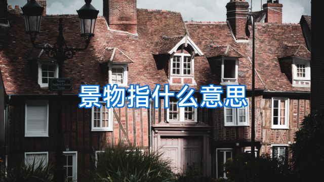 景物指什么意思