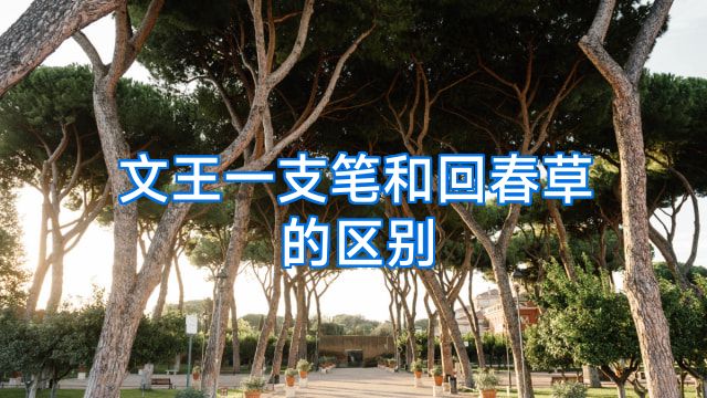 文王一支笔和回春草的区别