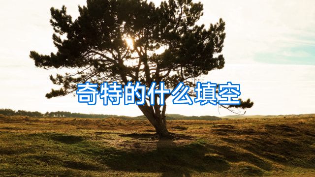 奇特的什么填空