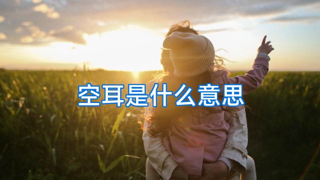 空耳是什么意思