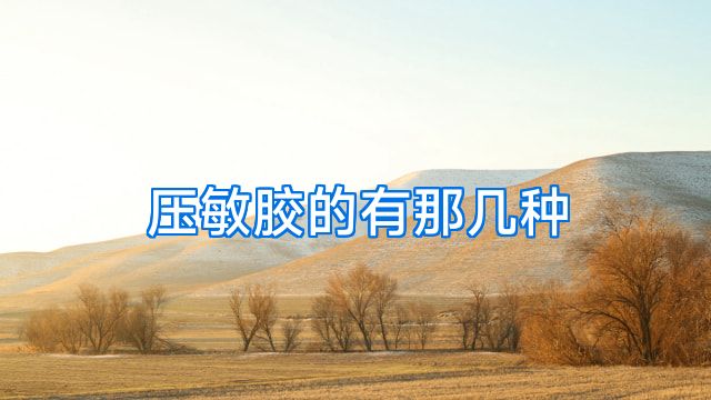 压敏胶的有那几种