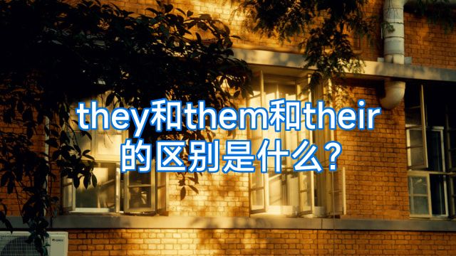 they和them和their的区别是什么?
