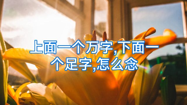 上面一个万字,下面一个足字,怎么念