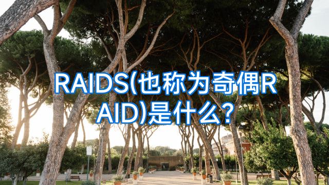 RAIDS(也称为奇偶RAID)是什么?