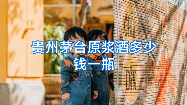 贵州茅台原浆酒多少钱一瓶
