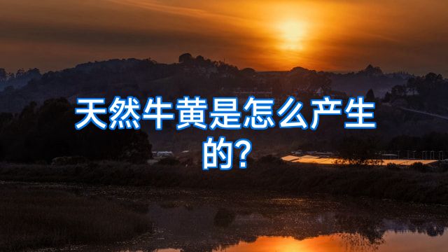 天然牛黄是怎么产生的?