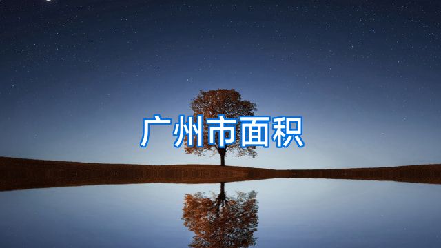 广州市面积