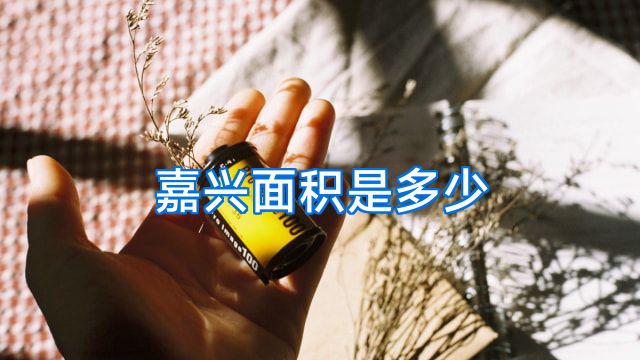 嘉兴面积是多少