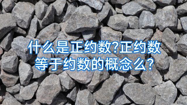 什么是正约数?正约数等于约数的概念么?