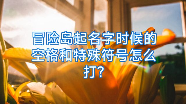 冒险岛起名字时候的空格和特殊符号怎么打?