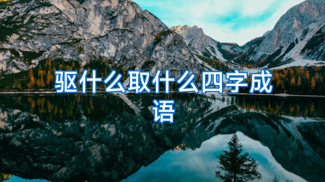 驱什么取什么四字成语