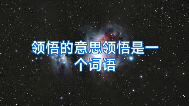 领悟的意思领悟是一个词语