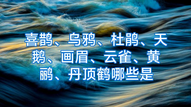 喜鹊、乌鸦、杜鹃、天鹅、画眉、云雀、黄鹂、丹顶鹤哪些是