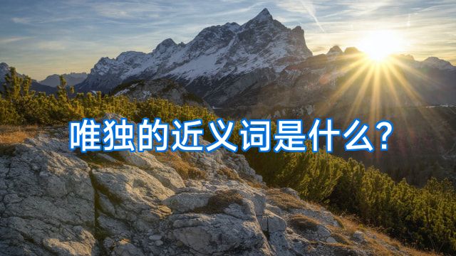 唯独的近义词是什么?