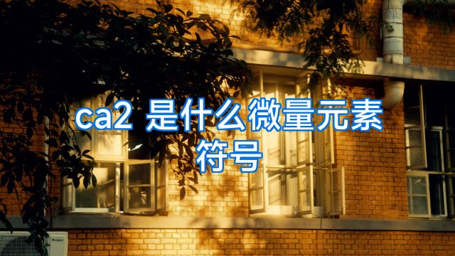 ca2 是什么微量元素符号