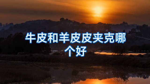 牛皮和羊皮皮夹克哪个好