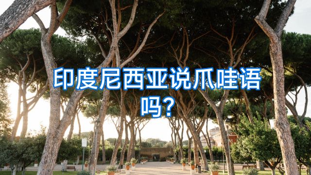 印度尼西亚说爪哇语吗?